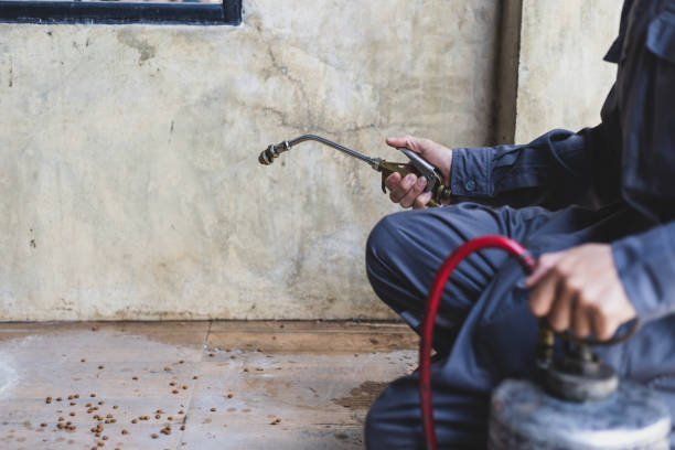 Best Cockroach Control Services  in Hackleburg, AL