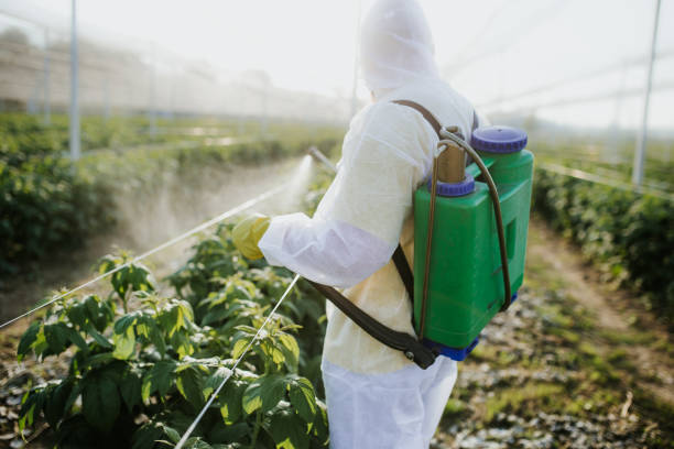 Best Pest Removal Services  in Hackleburg, AL